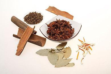 狗粮游戏《Haven》推送“情侣更新” 添加同性伴侣